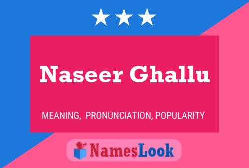 ملصق اسم Naseer Ghallu