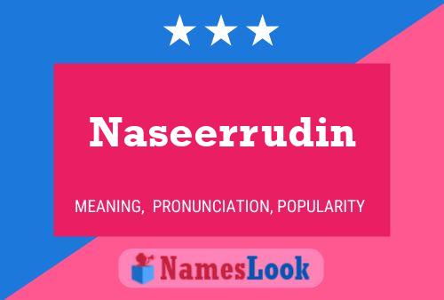 ملصق اسم Naseerrudin