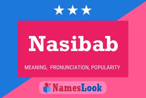 ملصق اسم Nasibab