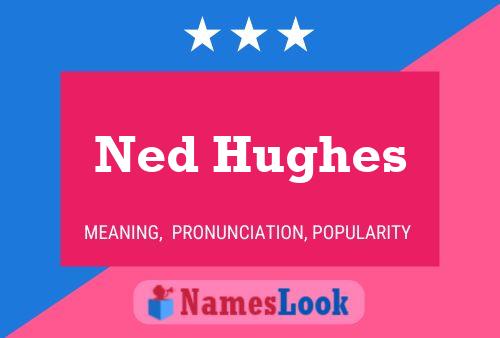 ملصق اسم Ned Hughes