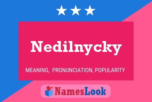 ملصق اسم Nedilnycky