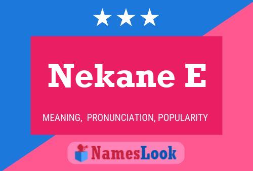 ملصق اسم Nekane E