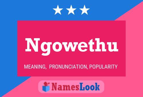 ملصق اسم Ngowethu