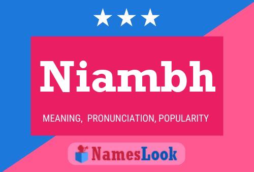 ملصق اسم Niambh