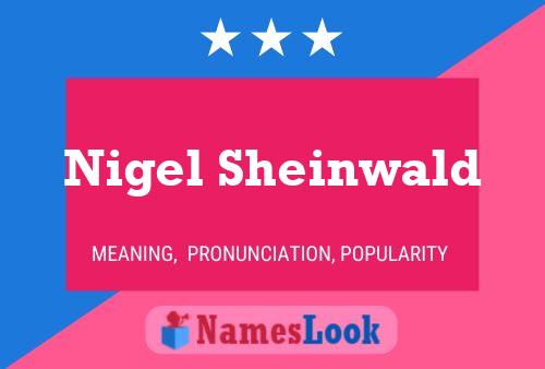 ملصق اسم Nigel Sheinwald