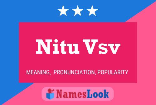 ملصق اسم Nitu Vsv