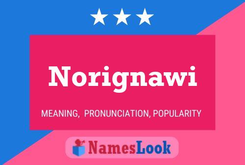 ملصق اسم Norignawi