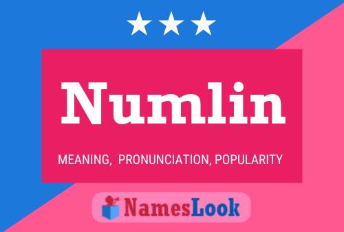 ملصق اسم Numlin