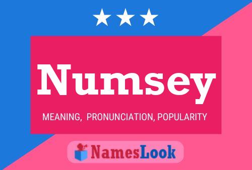 ملصق اسم Numsey