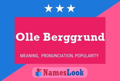 ملصق اسم Olle Berggrund