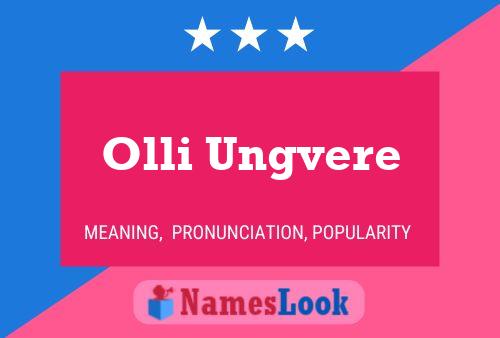 ملصق اسم Olli Ungvere