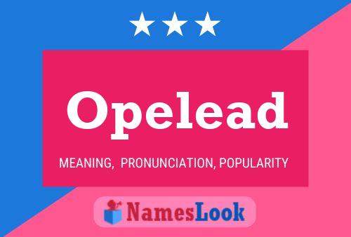 ملصق اسم Opelead