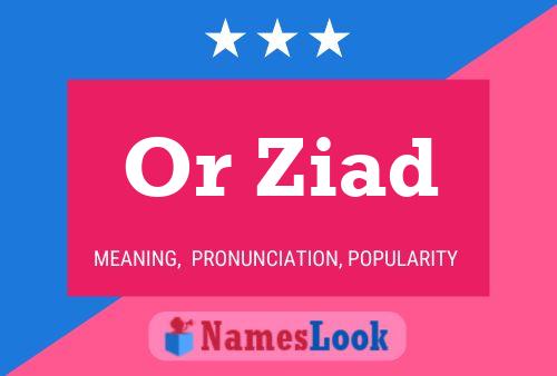 ملصق اسم Or Ziad