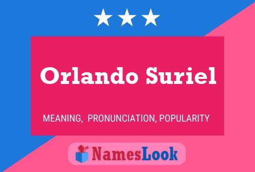 ملصق اسم Orlando Suriel