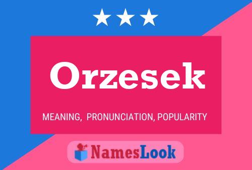 ملصق اسم Orzesek