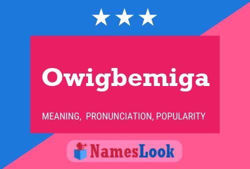 ملصق اسم Owigbemiga