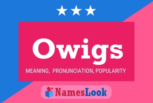 ملصق اسم Owigs