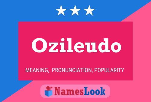 ملصق اسم Ozileudo