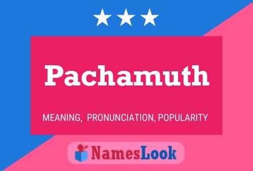 ملصق اسم Pachamuth