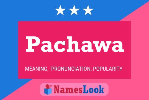 ملصق اسم Pachawa