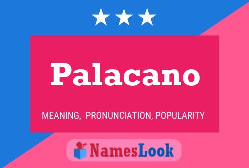 ملصق اسم Palacano