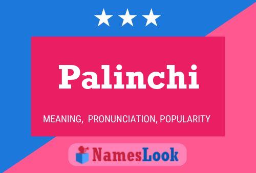 ملصق اسم Palinchi