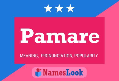 ملصق اسم Pamare