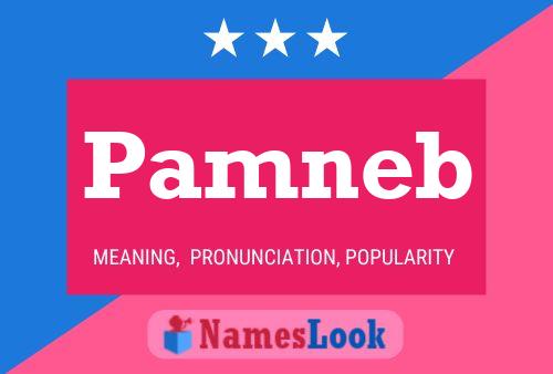 ملصق اسم Pamneb