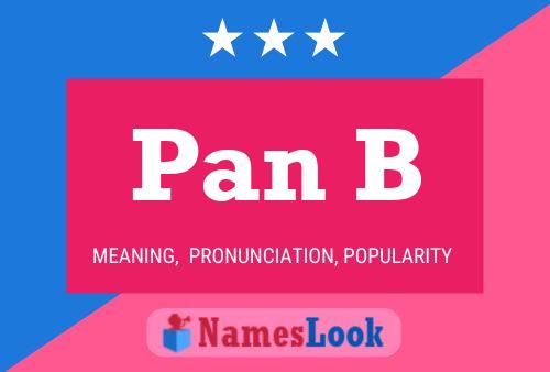 ملصق اسم Pan B