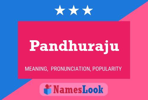 ملصق اسم Pandhuraju