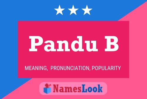 ملصق اسم Pandu B