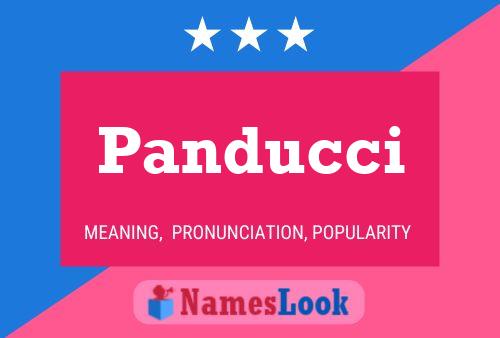 ملصق اسم Panducci