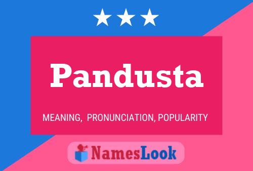 ملصق اسم Pandusta