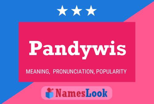 ملصق اسم Pandywis