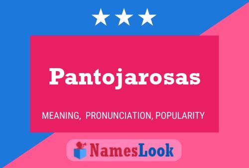 ملصق اسم Pantojarosas