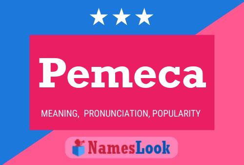 ملصق اسم Pemeca