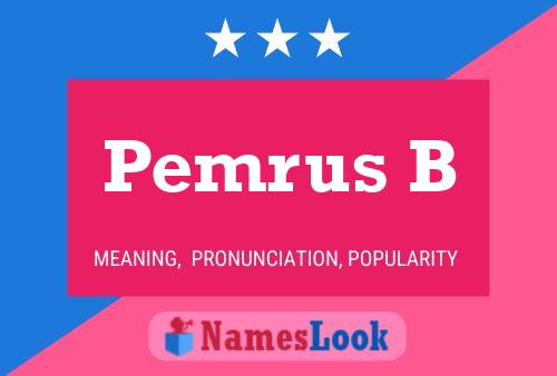 ملصق اسم Pemrus B