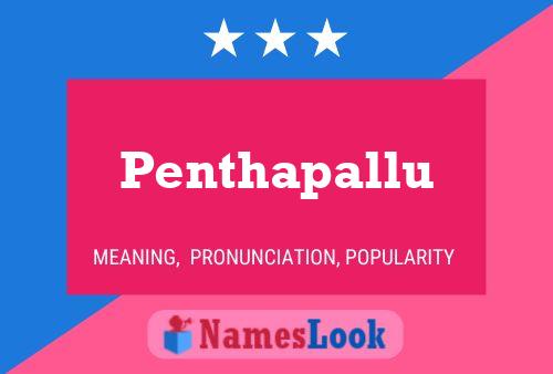 ملصق اسم Penthapallu