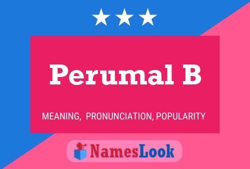 ملصق اسم Perumal B