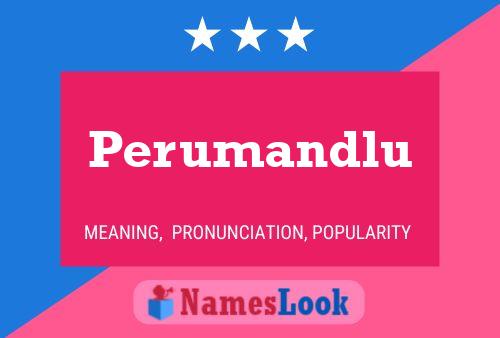 ملصق اسم Perumandlu