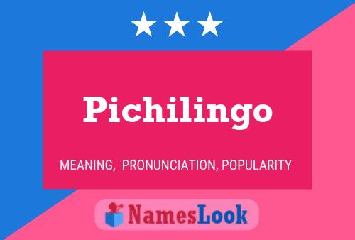 ملصق اسم Pichilingo