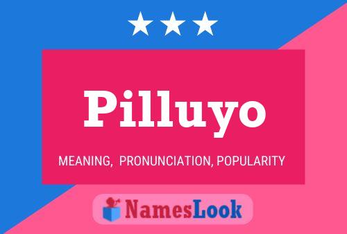 ملصق اسم Pilluyo