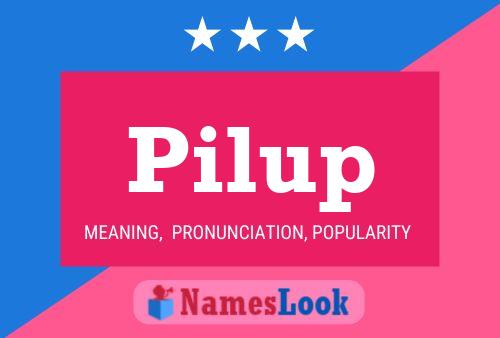 ملصق اسم Pilup