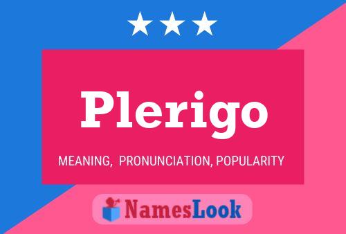 ملصق اسم Plerigo