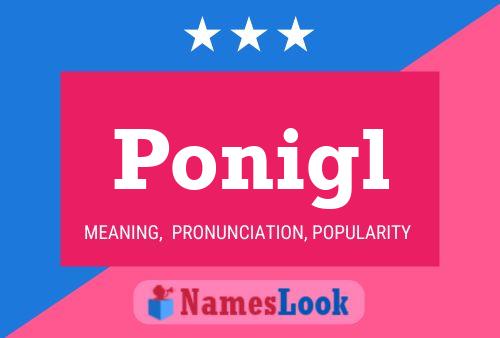 ملصق اسم Ponigl