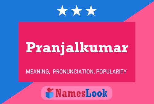 ملصق اسم Pranjalkumar