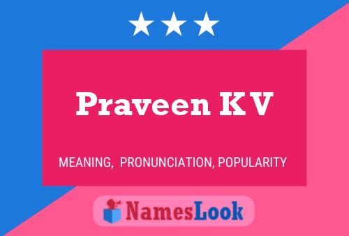 ملصق اسم Praveen K V