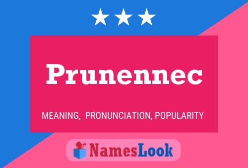 ملصق اسم Prunennec