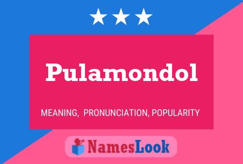 ملصق اسم Pulamondol