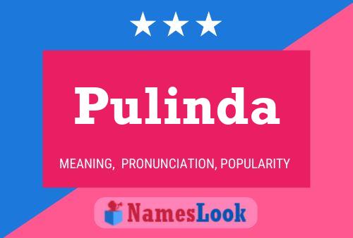 ملصق اسم Pulinda